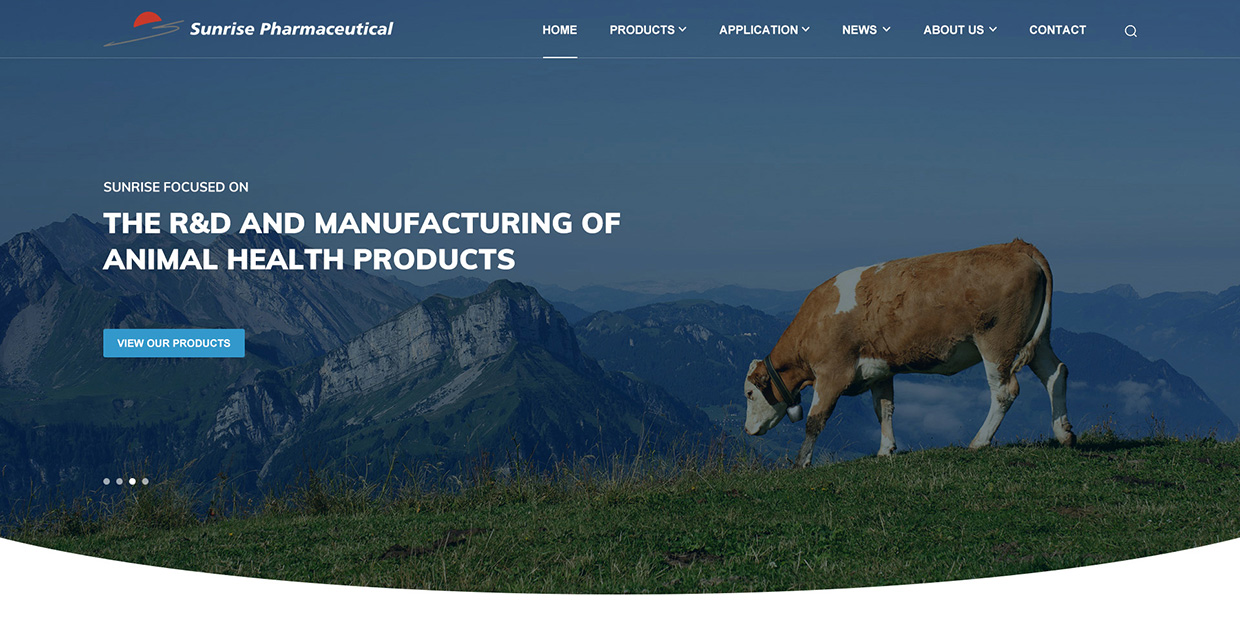 浙江日出藥業(yè)有限公司網(wǎng)站案例 浙江日出藥業(yè)有限公司網(wǎng)站案例